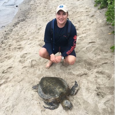 Profile Picture of Christopher Kritzer (@ChrisKritzer1) on Twitter