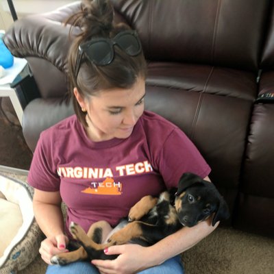 Profile Picture of Stacie Hogan (@smhogan) on Twitter