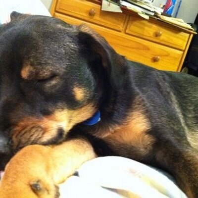 Profile Picture of Shelly Henry (@bibyhenry) on Twitter