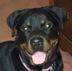 Profile Picture of Peggy Carl (@peggy.carl.2025) on Facebook