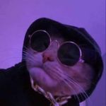 Profile Picture of Troy Hashimoto (@itsshinoasada) on Instagram