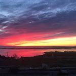 Profile Picture of Marcella Coll (@coll.marcella) on Instagram