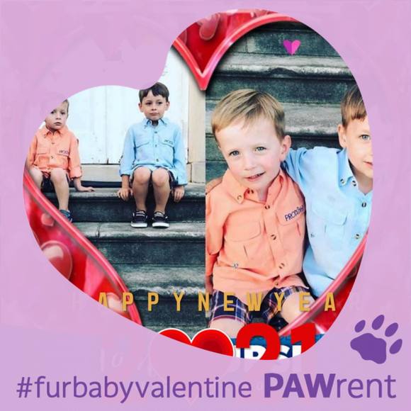 Profile Picture of Pam Cummings (@indigofunnyfarm) on Poshmark