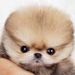 Profile Picture of student Joseph Prescott (@studentjosephprescott) on Pinterest
