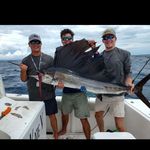 Profile Picture of Bryson Cooksey (@bryson_cooksey) on Instagram