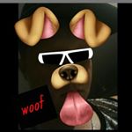 Profile Picture of Cody humphreys (@ranga_lad_101) on Instagram