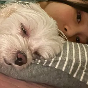 Profile Picture of miabee (@miabee1a) on Tiktok