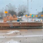 Profile Picture of Carol Xue (@carollllxy_) on Instagram