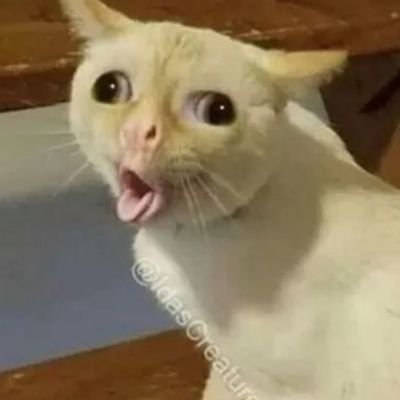 Profile Picture of Jacky Nguyen (@JackyNg67173122) on Twitter