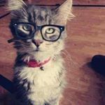 Profile Picture of Janet Soda (@janet.soda.3) on Instagram