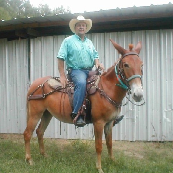 Mule Tommy - Poshmark Profile Picture of Mule Tommy (@muletommy) on Poshmark