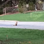 Jeff Hankel - Facebook Profile Picture of Jeff Hankel (@Jeff-Hankel) on Facebook