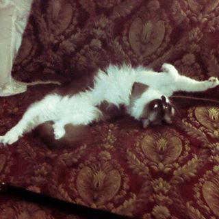 Jeanne Mikkelsen - Facebook Profile Picture of Jeanne Mikkelsen (@jeanne.mikkelsen) on Facebook