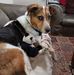 Profile Picture of Joseph Pfeiffer (@joseph.pfeiffer.59) on Facebook