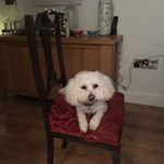 Profile Picture of Elinor Gordon (@el.jeffries) on Instagram