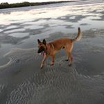 Profile Picture of Mark Mikula 🛩️ (@potwangoeman) on Instagram