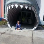 Profile Picture of Jean A Calabrese (@nynative20) on Instagram