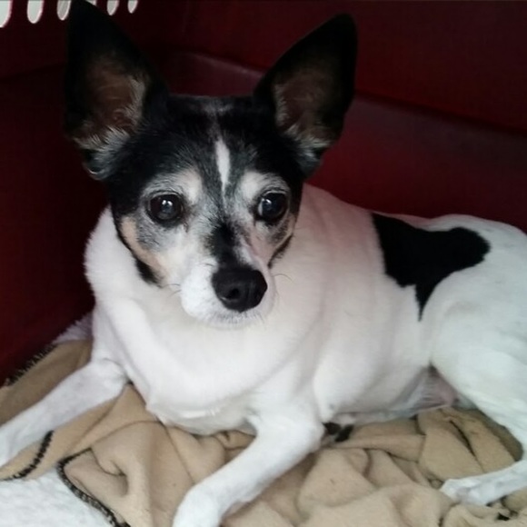 Profile Picture of Cheryl Ergott (@cherylergott) on Poshmark