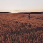 Profile Picture of Peter Greifelt (@peter_greifelt) on Instagram