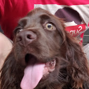 Profile Picture of Hansel Jimenez (@hans13221) on Youtube