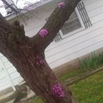 Profile Picture of Sandi Cooley (@sandi.cooley.96) on Instagram