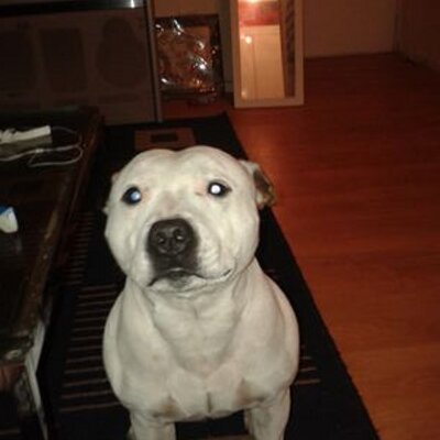 Profile Picture of Bobby Darling (@070ec76940bd428) on Twitter