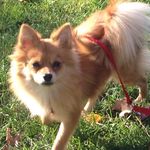 Profile Picture of Logan Bledsoe (@hapyy2smile37) on Instagram