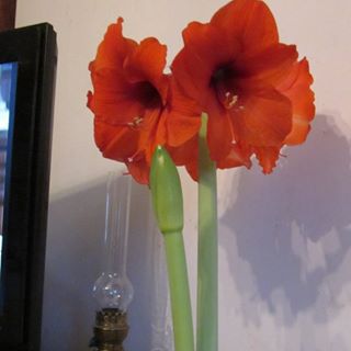 Profile Picture of Edith Roger (@Edith-Roger) on Facebook