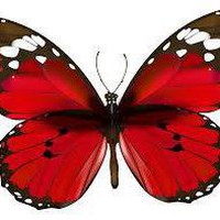 Profile Picture of Richard Vargo (@richard-vargo-6) on Quora