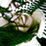 Debora' Santos - Flickr Profile Picture of Debora' Santos (@debora') on Flickr