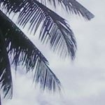 Profile Picture of Tabitha michael (@tabithachacha990) on Instagram