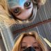 Profile Picture of allison (@allisondriskell024) on Pinterest