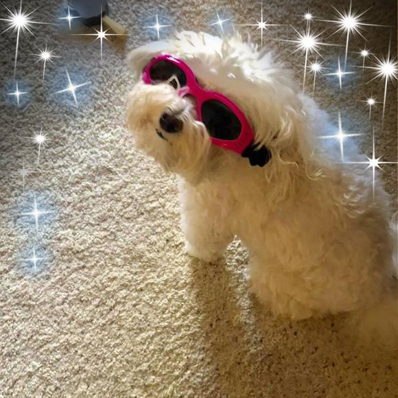 Profile Picture of Jackie Blodgett brochheuser-chappell (@jchappell85) on Poshmark