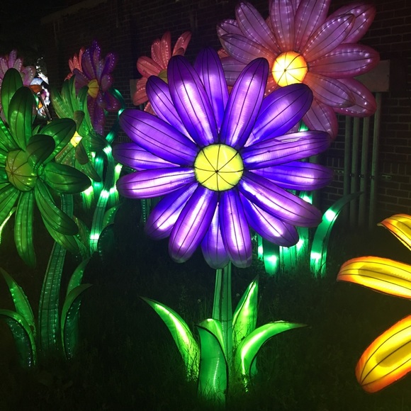 Christina Weist - Poshmark Profile Picture of Christina Weist (@ninasuz) on Poshmark