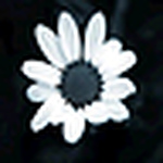 Jamie Zhang - Flickr Profile Picture of Jamie Zhang (@abohek) on Flickr