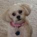 Profile Picture of Sharon Samuelson (@tssamuelson) on Facebook