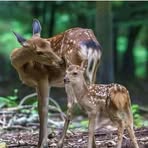 Profile Picture of Gayath Chandinu (@gayath.chandinu) on Facebook