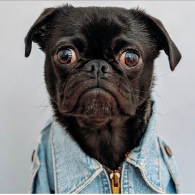 Profile Picture of Benjamin Heil (@benjamin_heil) on Twitter
