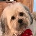 Profile Picture of Mary Treece (@mary.treece.92) on Facebook