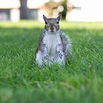 Profile Picture of Joe Mahon (@onemahon) on Flickr