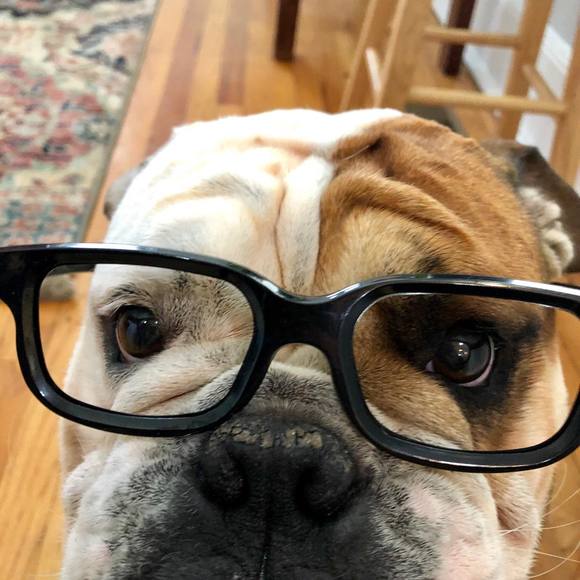 Profile Picture of Mitzi Wright (@mitziw) on Poshmark