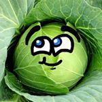 Profile Picture of Adam (@adam_buffalony) on Instagram