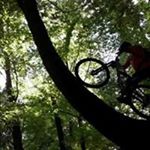 Profile Picture of Michael_Wun (@wunderlemichael) on Instagram