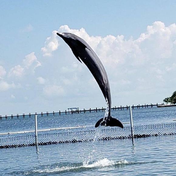 Profile Picture of Patty Edner (@pattyedner) on Poshmark