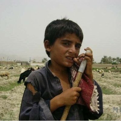 Profile Picture of Shay Rameen (@shay_alan) on Twitter