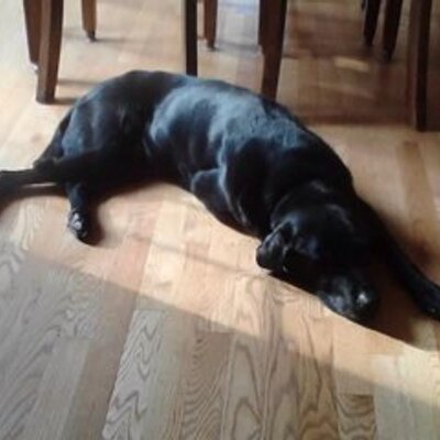 Profile Picture of Michelle Shultz (@michelleshu) on Twitter