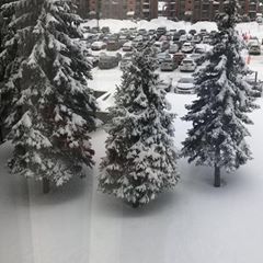 Profile Picture of Ayesha Shaukat (@ayeshashaukat0) on Tiktok