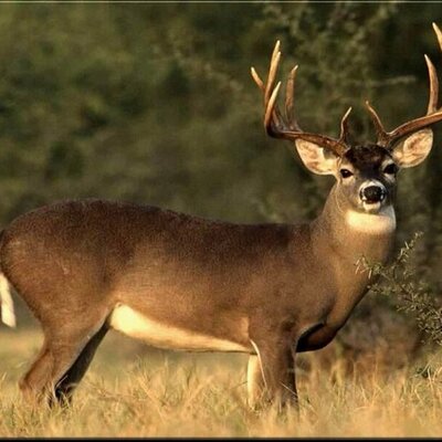 Profile Picture of Cody Graham (@codygraham47) on Twitter