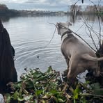 Profile Picture of Kyle Oberman (@Kyle-Oberman) on Facebook