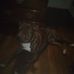 Profile Picture of James Drain (@james.drain.7923) on Facebook